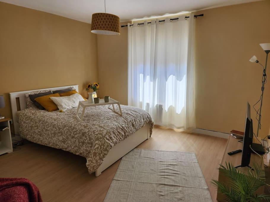 Moderno Apartamento Cerca Del Centro En León Eksteriør billede